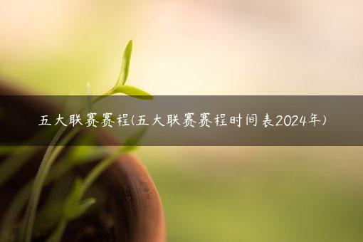 五大联赛赛程(五大联赛赛程时间表2024年)