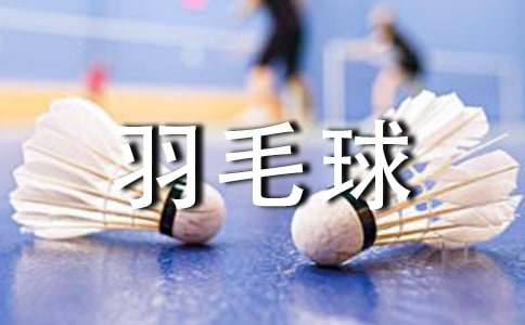 大学生羽毛球策划书7篇