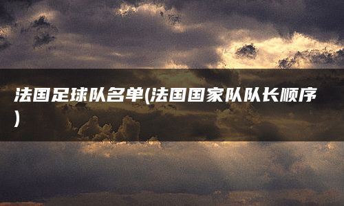 他的出色的传球和组织能力使他成为了法国队的队长