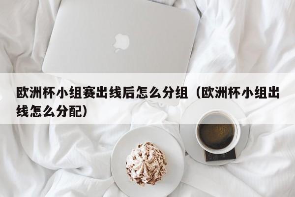 欧洲杯小组赛出线后怎么分组（欧洲杯小组出线怎么分配）